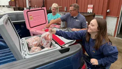 Heartland United Way staff load frozen chickens into coolers in the back of a truck.